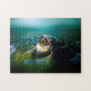 Olho Crocodilo, Quebra-cabeça de Jigsaw