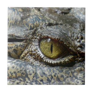 olho de crocodilo face animal personalizar diy