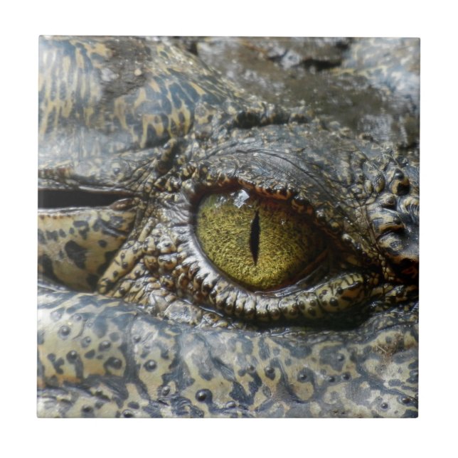 olho de crocodilo face animal personalizar diy (Frente)