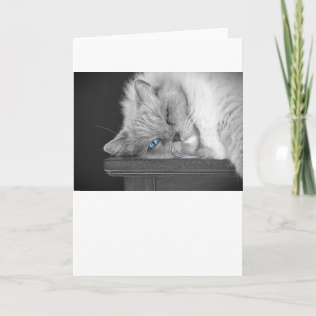 Olhos Azuis, cartão (Frente)