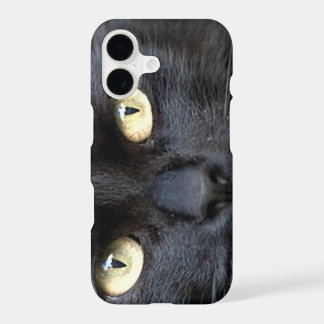 Olhos de Gato