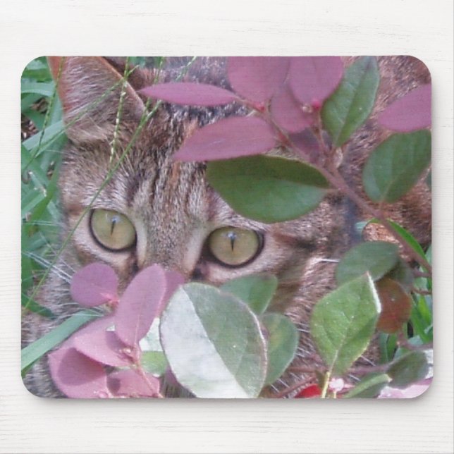 Olhos de gato Mousepad da chama (Frente)