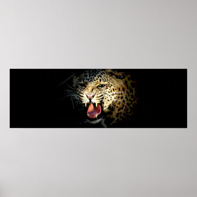 Olhos de Leopardo na Poster da Porta-Sombra (Frente)