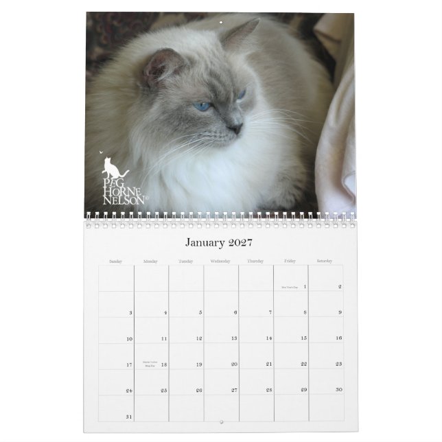 Olhos de Purrfect! Calendário 2012 do gato (Jan 2027)