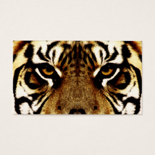Olhos de um tigre