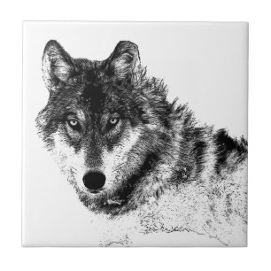 Olhos do Lobo Inspirador Branco Preto