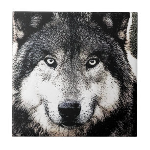 Olhos do Lobo - Trabalho de arte de Animais Selvag