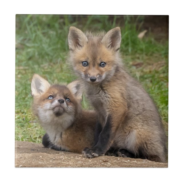 Olhos que Amam (Frente)