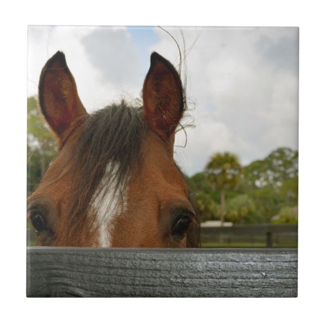 olhos sobre a cabeça de cavalo da cerca (Frente)