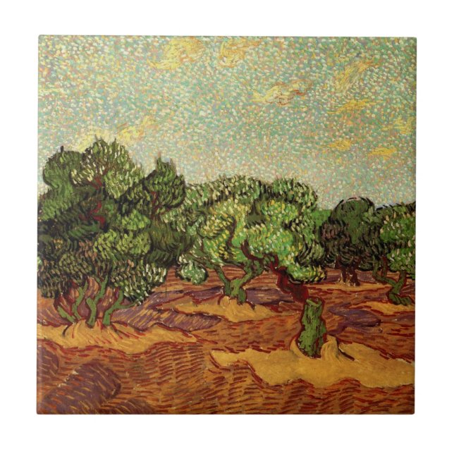 Olive Grove, céu azul pálido de Vincent van Gogh (Frente)