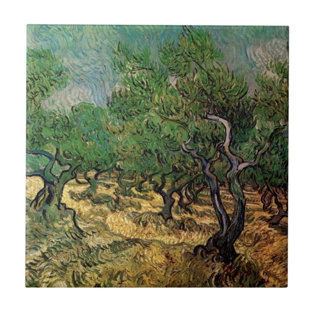 Olive Grove de Vincent van Gogh (Frente)
