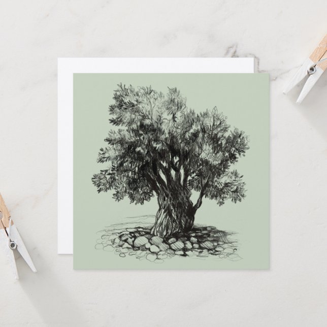 Oliveira antiga (Frente/Verso In Situ)