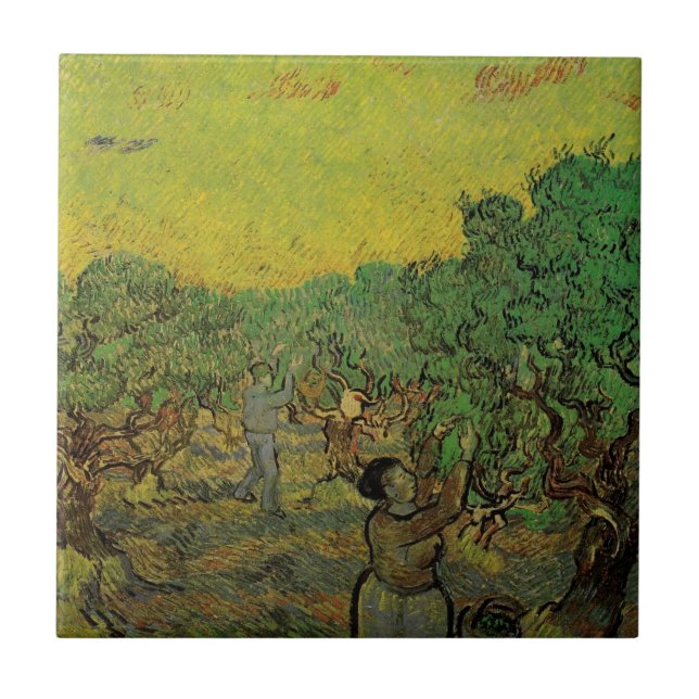 Oliveira com Figuras Colhendo, Vincent van Gogh (Frente)