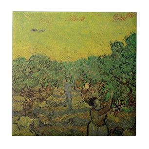 Oliveiral de Van Gogh com Figuras Colhendo Frutas