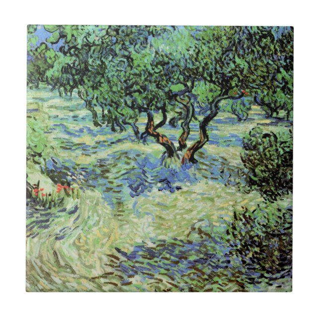 Oliveiral por Vincent van Gogh (Frente)