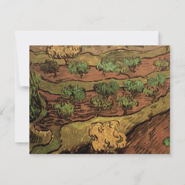 Oliveiras de Van Gogh Contra a Encosta de uma Coli (Frente)