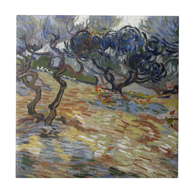 Oliveiras por Vincent van Gogh (Frente)