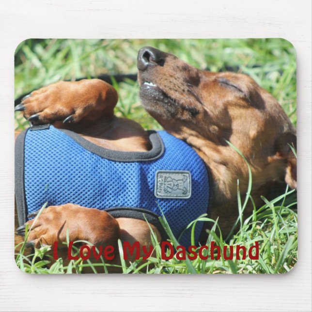 Olli o Daschund Mousepad (Frente)