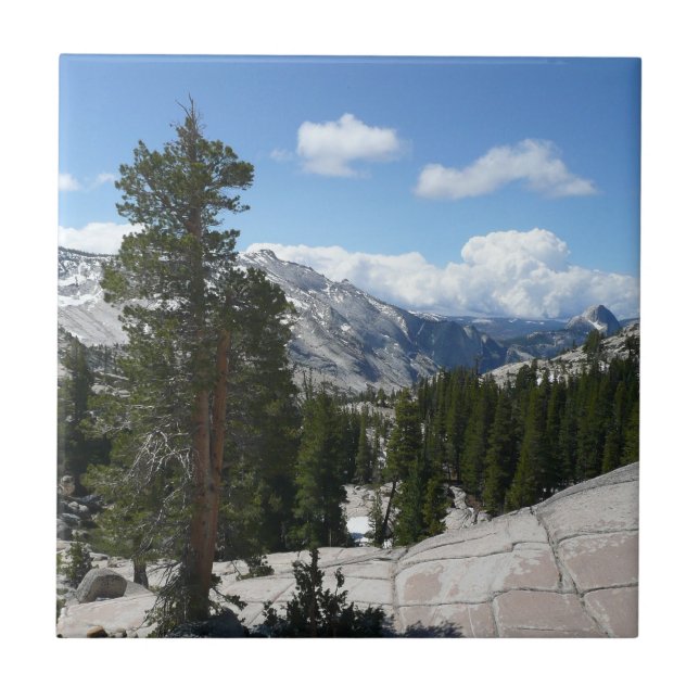 Olmsted Point III no Parque Nacional de Yosemite (Frente)