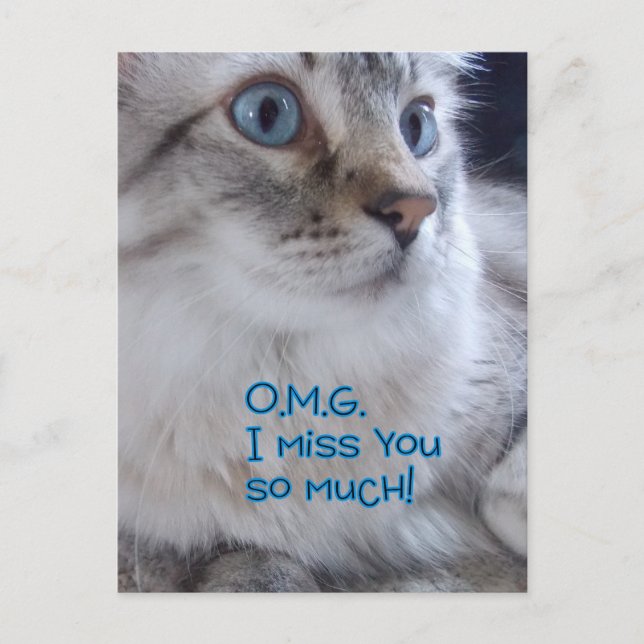 OMG, sinto saudades de seus cartões postais (Frente)