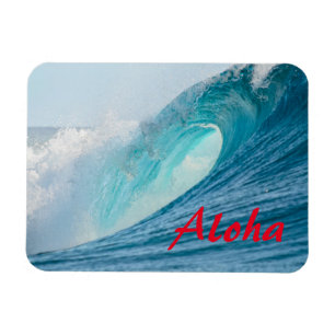 Onda surfando do tambor que quebra Aloha o ímã
