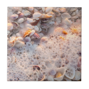 Ondas e Conchas Marinhas em Sanibel Island
