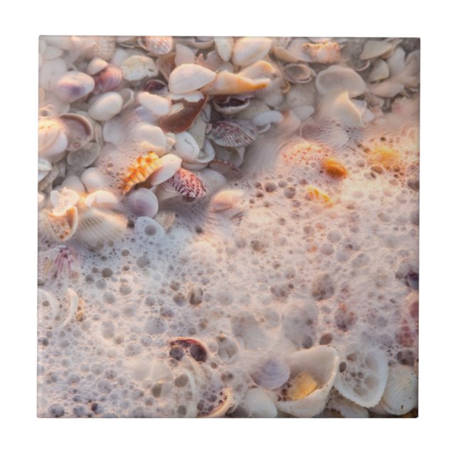Ondas e Conchas Marinhas em Sanibel Island (Frente)