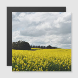 Ondas ouros da placa magnética Streatham