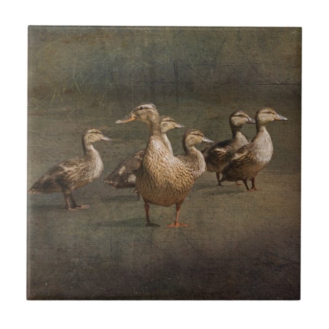 Onde agora? (Frente)