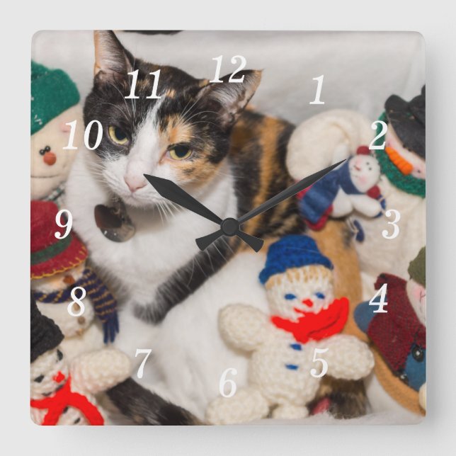 Onde Está O Relógio De Parede De Gato (Frente)