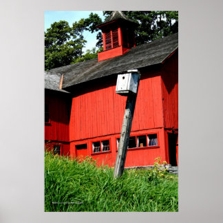 Onde Meadowlards Cantam Impressão da Galeria Verti