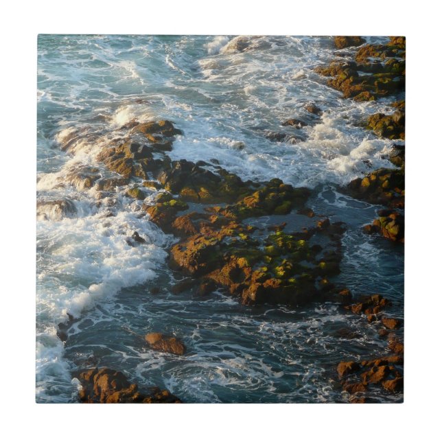 Onde o Oceano Encontra as Rochas (Frente)