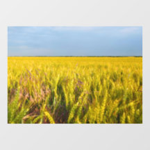 Onde o Trigo Dança com o Vento - Natureza Selvagem