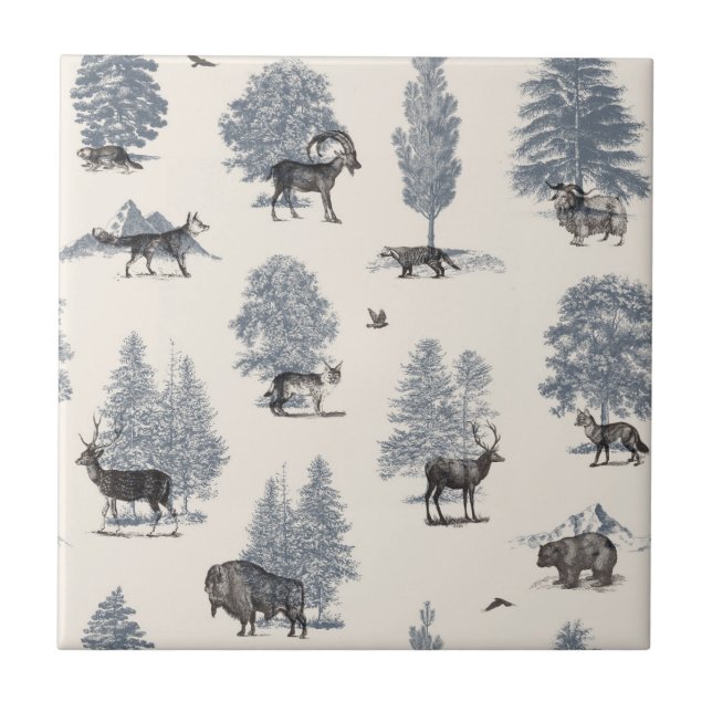 Onde pertencem o inverno | Florent Bodart (Frente)