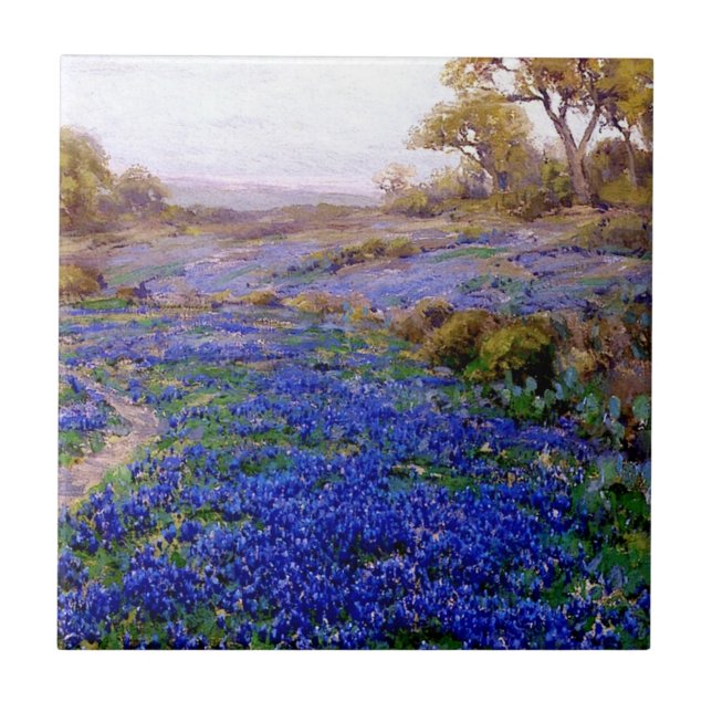 Onderdonk - Bluebonnets na noite de Twilight, nort (Frente)