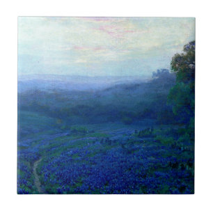 Onderdonk - Caminho através de um campo de Bluebo