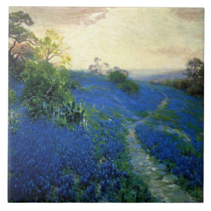 Onderdonk - Campo Azul