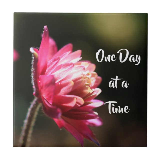 One Day At A Time Quote Flower In Sunlight  (Frente)
