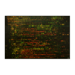 One Month of Sound: Acrylic