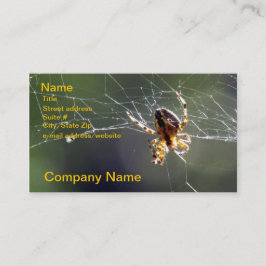 Ônibus. Cartão - aranha na Web