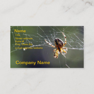 Ônibus. Cartão - aranha na Web