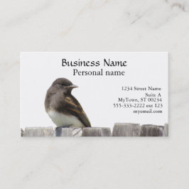 Ônibus. Cartão - Pássaro na cerca