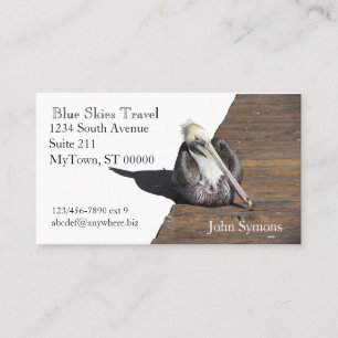 Ônibus. Cartão - Pelicano no Cais