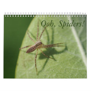 Ooh, aranhas! Calendário