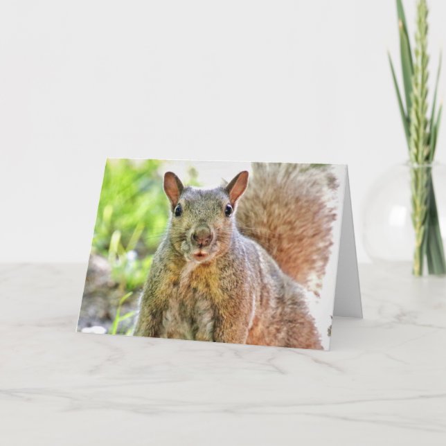 Oops, Eu Perdi Seu Cartão De Aniversário (Frente)