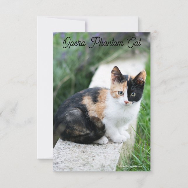 Ópera - Fantasma (Frente)