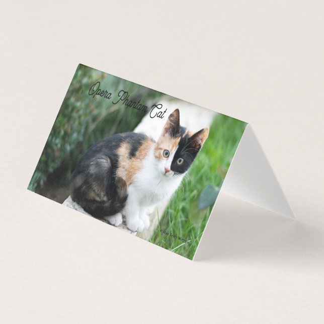 Ópera - Fantasma (Frente)