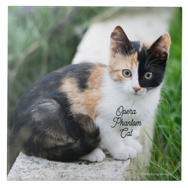 Ópera - Fantasma (Frente)