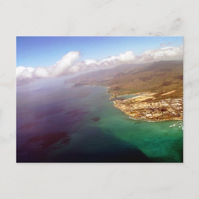 Opinião da gaivota de Honolulu no cartão de Oahu (Frente)