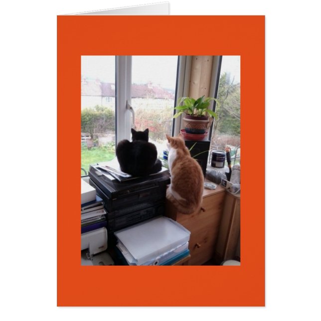 Opinião do gato de meu cartão do escritório (Frente)